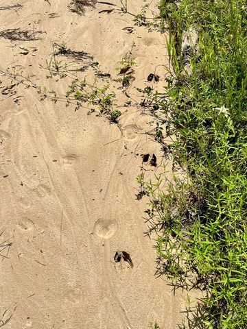 0 Slim Palmer Rd, Zavalla, TX 75980