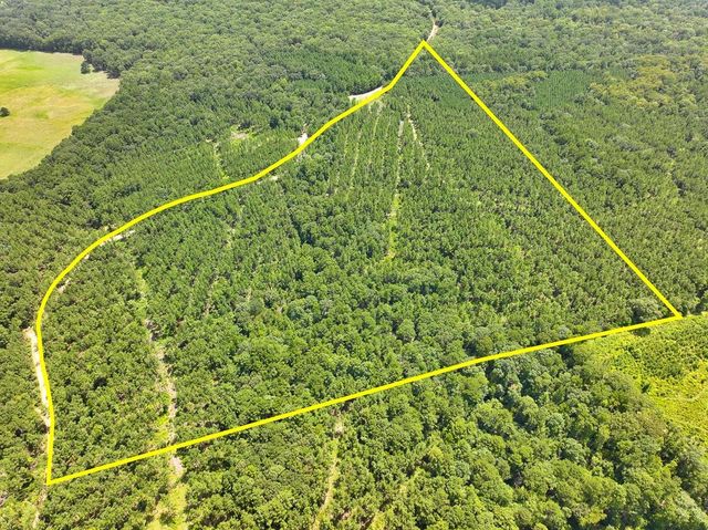 0 Slim Palmer Rd, Zavalla, TX 75980