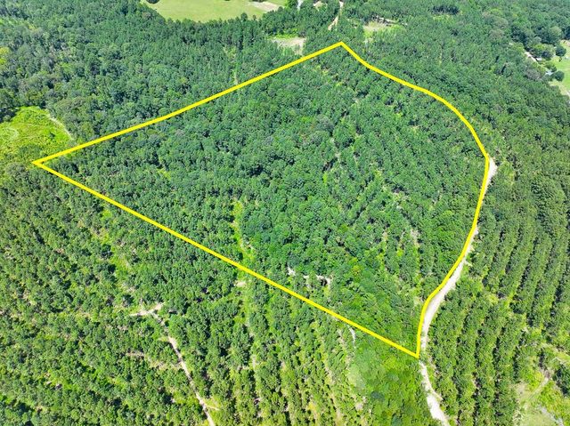 0 Slim Palmer Rd, Zavalla, TX 75980