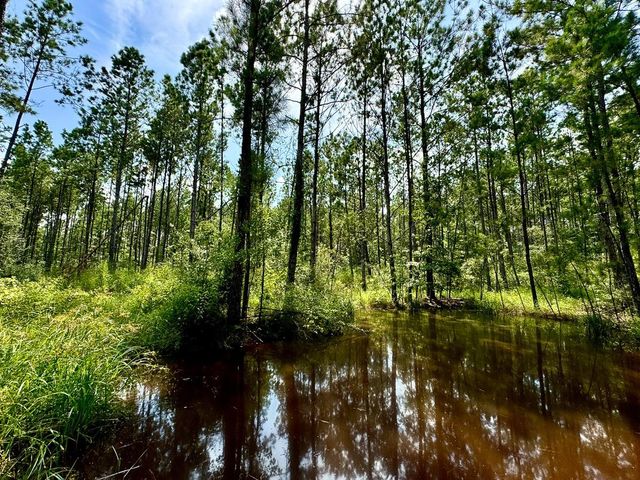 0 Slim Palmer Rd, Zavalla, TX 75980