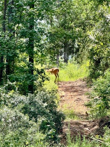 0 Slim Palmer Rd, Zavalla, TX 75980