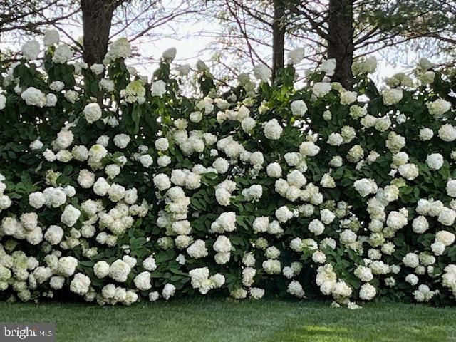 8 MORGAN DR, Shrewsbury, PA 17361