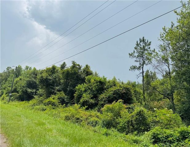 0 Leroy Stevens Road, Mobile, AL 36619