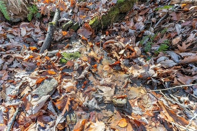 3523 Lighthouse Lane, Gainesville, GA 30504