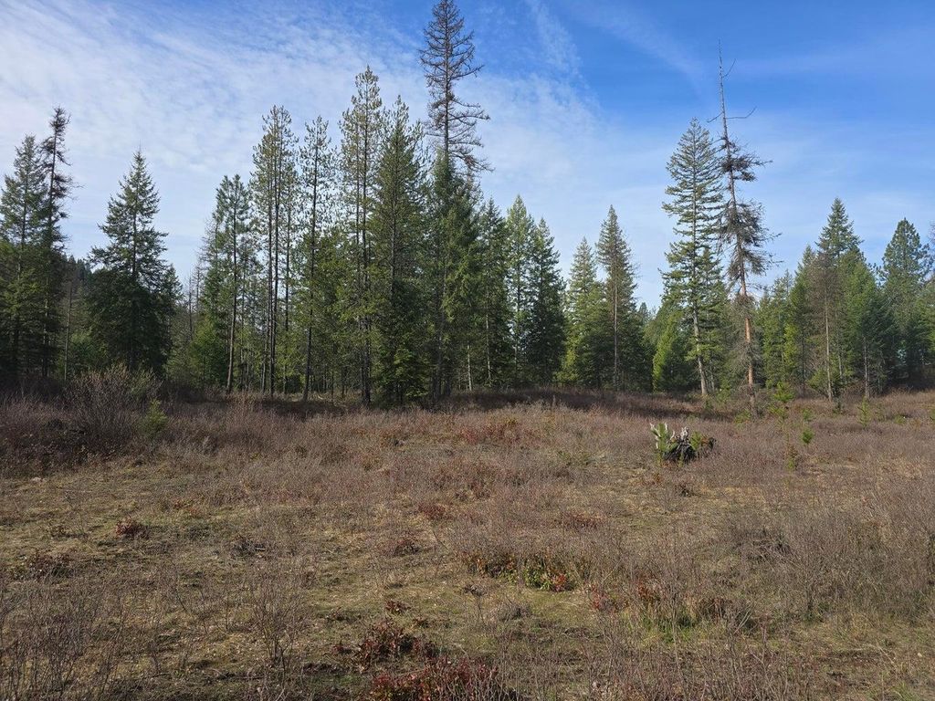 3XXX Lot #11 Larkspur Way, Kettle Falls, WA 99141