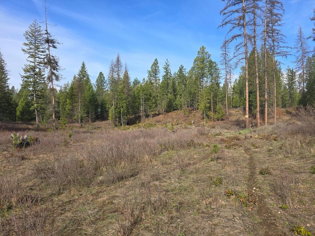3XXX Lot #11 Larkspur Way, Kettle Falls, WA 99141 photo 2