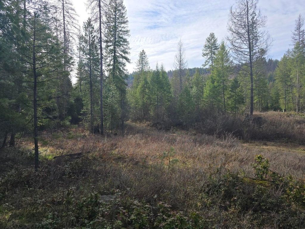 3XXX Lot #11 Larkspur Way, Kettle Falls, WA 99141 photo 3