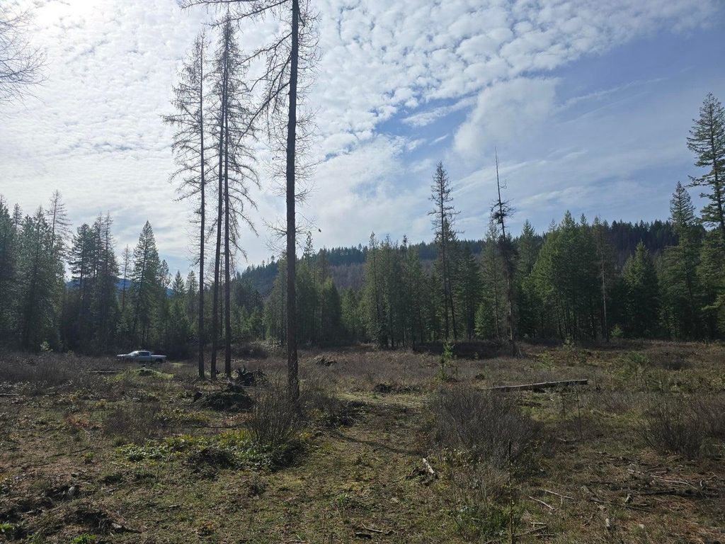 3XXX Lot #11 Larkspur Way, Kettle Falls, WA 99141 photo 4