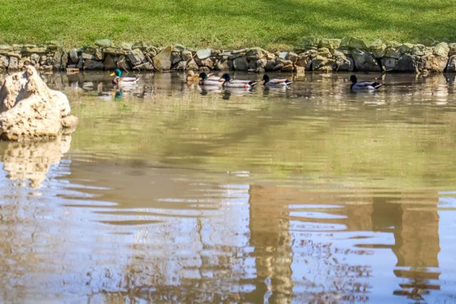 120 Wilshire Drive Unit 17, Hollister, MO 65672