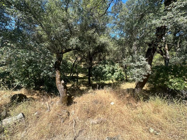 16216 Duggans Rd, Grass Valley, CA 95949