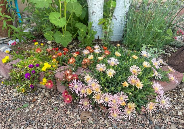 601 W San Mateo 200, Santa Fe, NM 87505