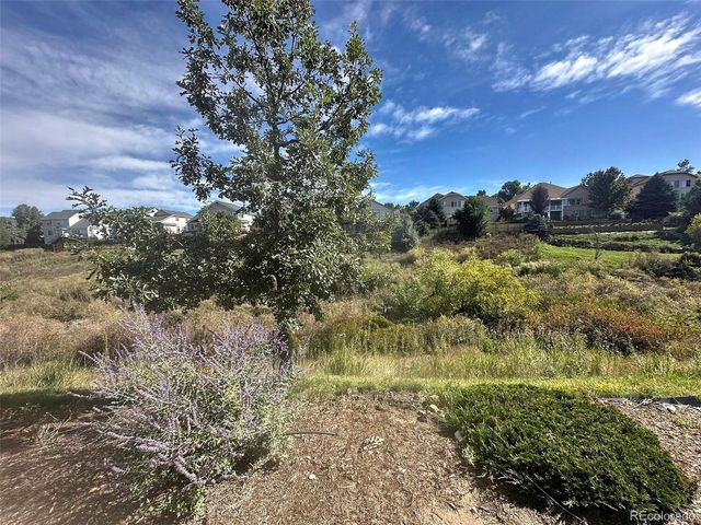 6463 Bluffmont Pt, Colorado Springs, CO 80923