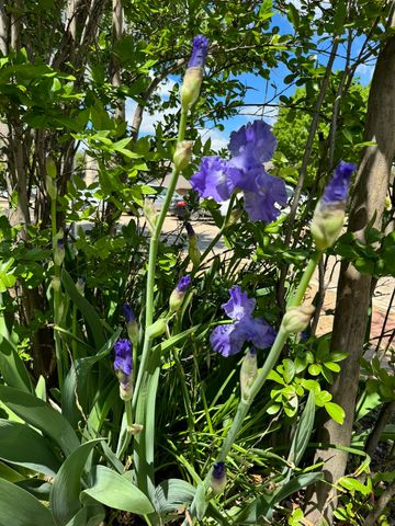 3400 Ambassador Row, Dalworthington Gardens, TX 76013