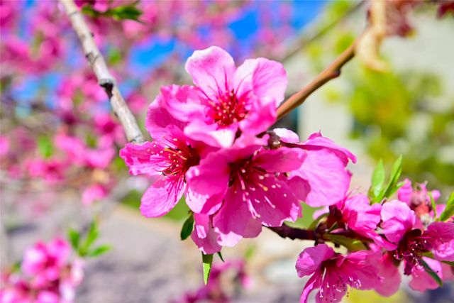 4678 Hojas Verdes, Santa Fe, NM 87507