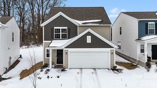 10136 Chatham Run Lane, Charlotte, NC 28262