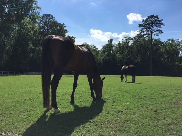 2468 Freeman Mill RD, Suffolk, VA 23438