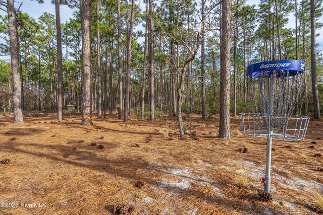 60 S Greensboro Road, Boiling Spring Lakes, NC 28461