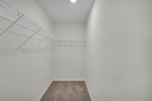19 PINEAPPLE DRIVE, Palm Coast, FL 32164
