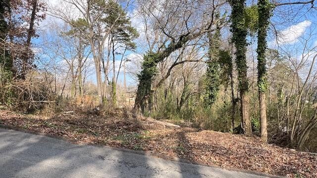 3977 Blanchard Street, Chattanooga, TN 37411