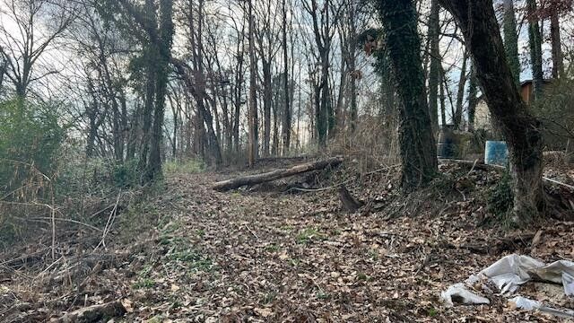 3977 Blanchard Street, Chattanooga, TN 37411