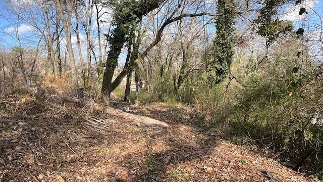 3977 Blanchard Street, Chattanooga, TN 37411