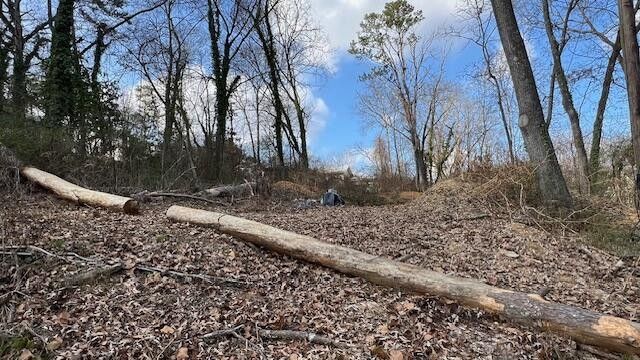 3977 Blanchard Street, Chattanooga, TN 37411