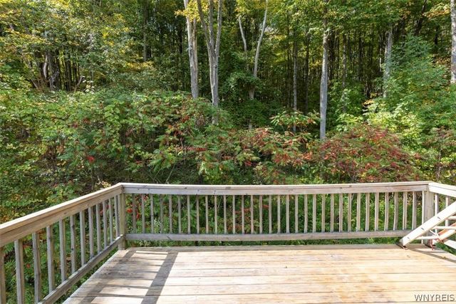 8540 Hayes Hollow Road, Colden, NY 14033