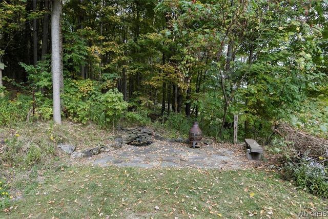 8540 Hayes Hollow Road, Colden, NY 14033