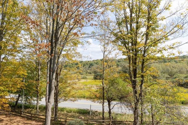 8540 Hayes Hollow Road, Colden, NY 14033