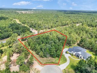7753 Dog Wood Acres Drive, Montgomery, TX 77316