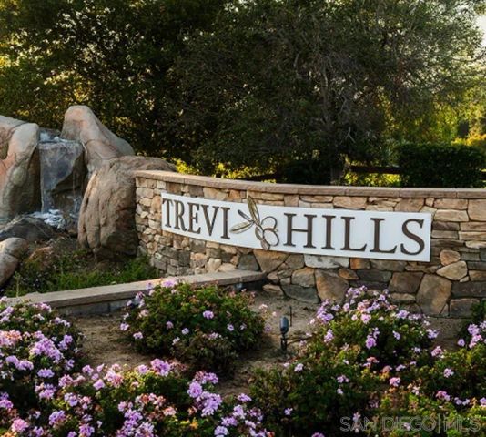 12872 Vineyard Crest Pl 10, Lakeside, CA 92040
