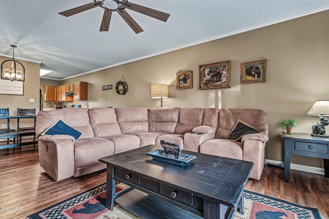 3919 S River Road, Pigeon Forge, TN 37863