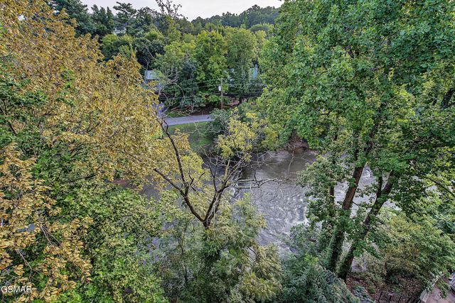 3919 S River Road, Pigeon Forge, TN 37863