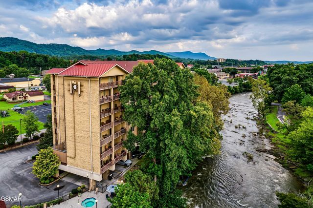 3919 S River Road, Pigeon Forge, TN 37863