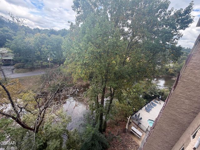3919 S River Road, Pigeon Forge, TN 37863