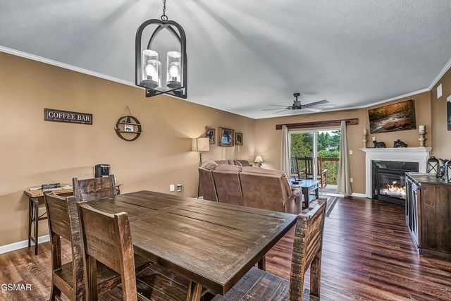 3919 S River Road, Pigeon Forge, TN 37863