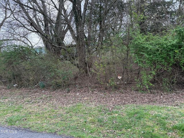 5749 Concord Street, Kingsport, TN 37664