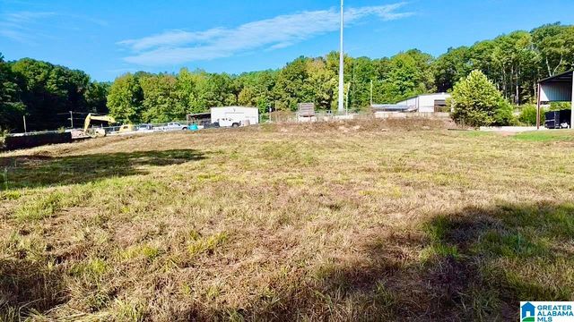 7564 HIGHWAY 31, Calera, AL 35040