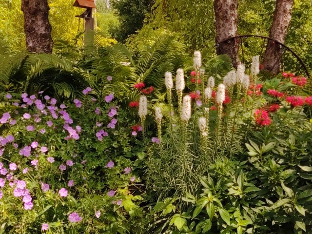 2945 County Road 4 SW 109, Cokato, MN 55321