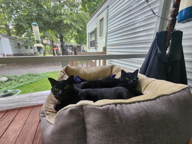 2945 County Road 4 SW 109, Cokato, MN 55321