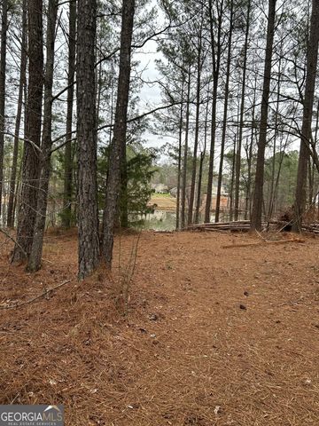 55 Rock Mill Court, Senoia, GA 30276