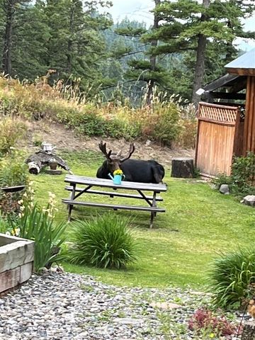 192 Mountain Brook Road, Livingston, MT 59047