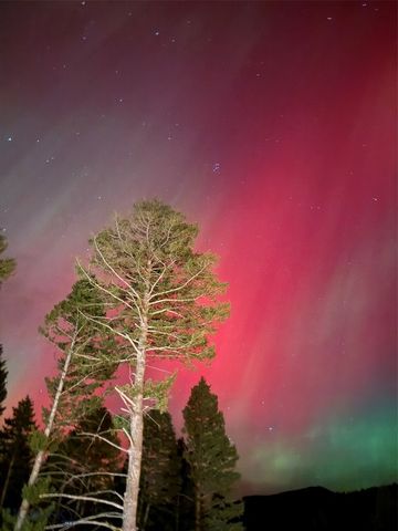 192 Mountain Brook Road, Livingston, MT 59047