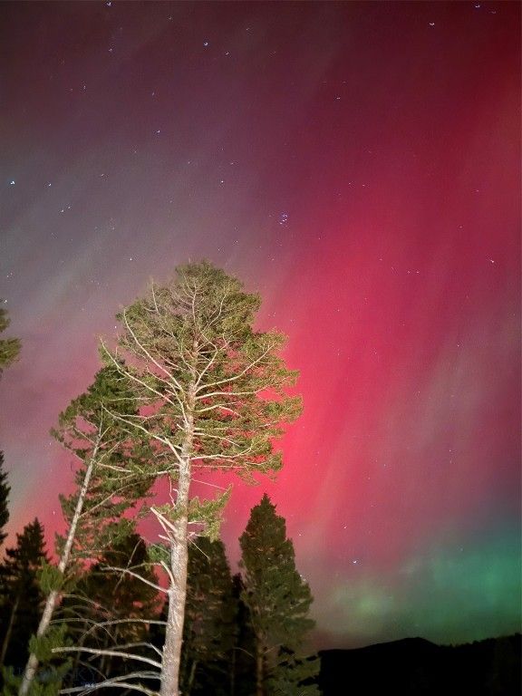 192 Mountain Brook Road, Livingston, MT 59047 photo 91
