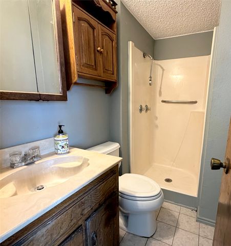 216 W Marshall Street, Palmer, TX 75152