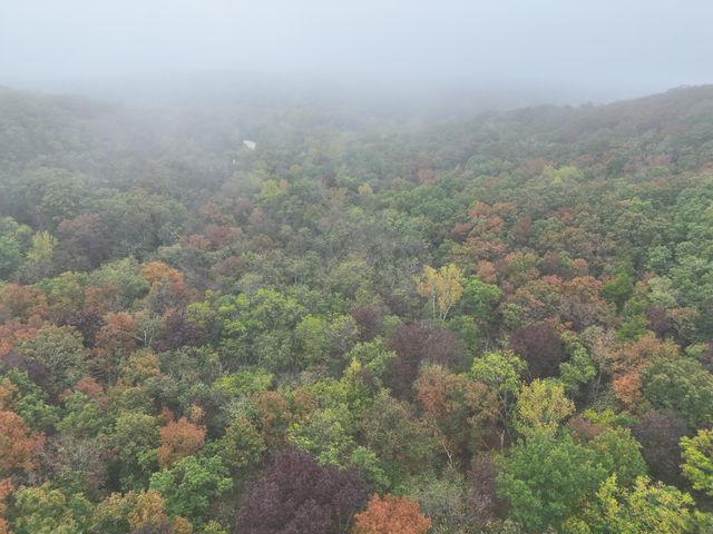 000 County Road 363, Urbana, MO 65767