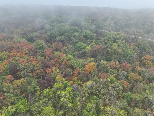 000 County Road 363, Urbana, MO 65767