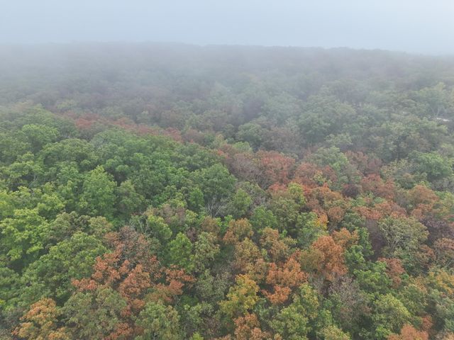 000 County Road 363, Urbana, MO 65767