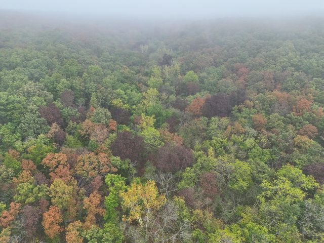 000 County Road 363, Urbana, MO 65767