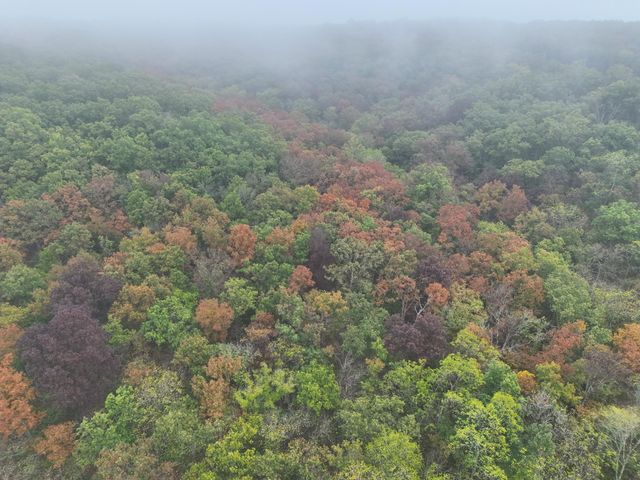 000 County Road 363, Urbana, MO 65767